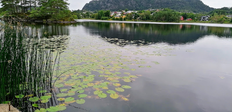 Bilde fra ALMÅS SMÅOPPDRAG AS i Sagvåg