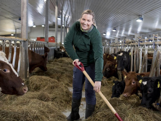 Bilde fra RANDBY AGRO AS i Kløfta