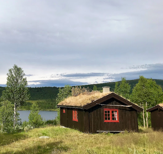 Bilde fra GAUSDAL FJELLSTYRE i Østre gausdal